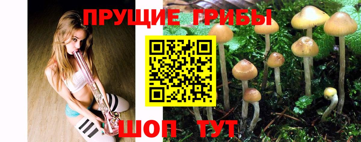 Северодвинск  Псилоцибиновые грибы Magic Shrooms  Вход с VPN 