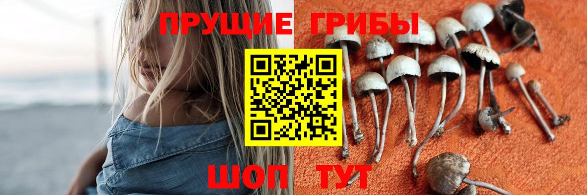 Галлюциногенные грибы ЛСД Северодвинск